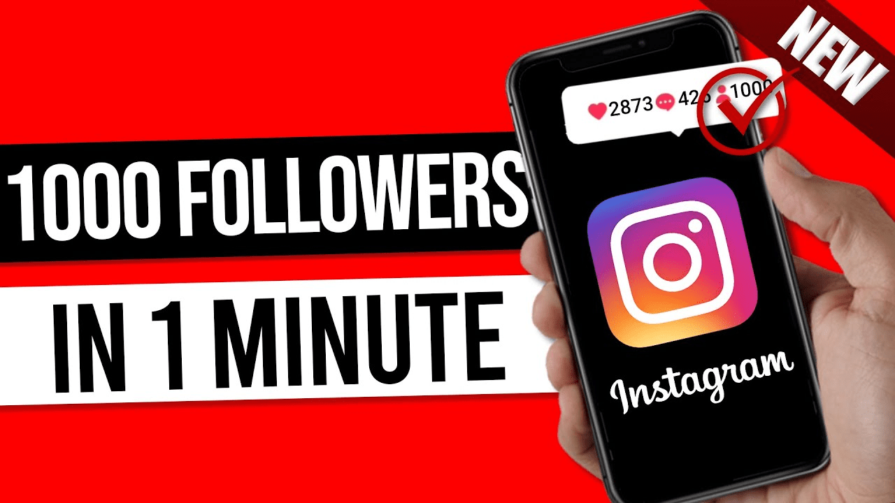 Instagram Followers